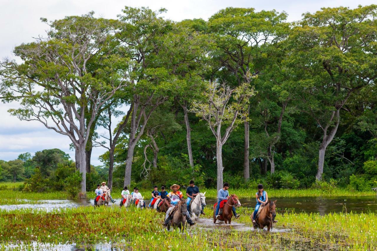 Poconé皮尤瓦尔宾馆住宿加早餐旅馆 外观 照片